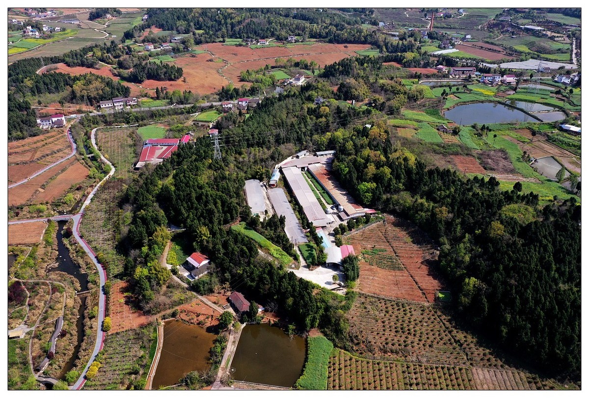 李白故里春色美（二）