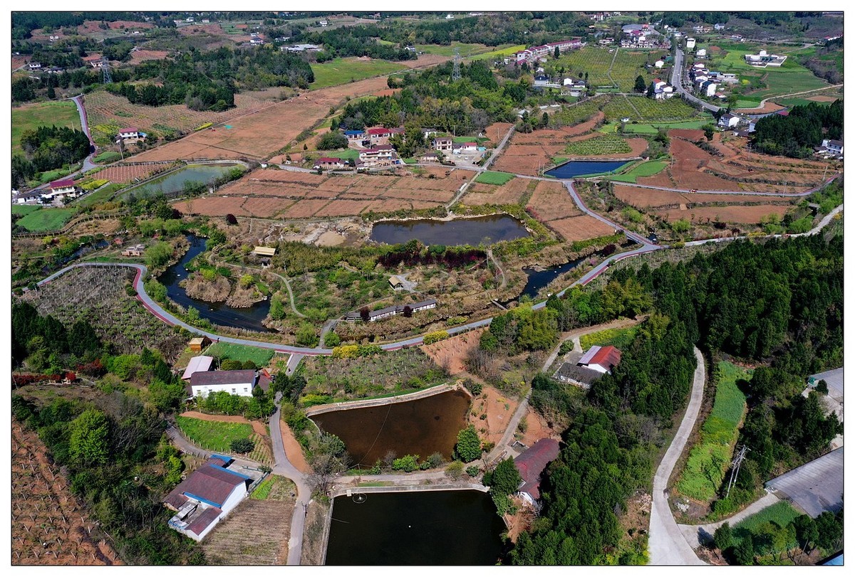 李白故里春色美（二）