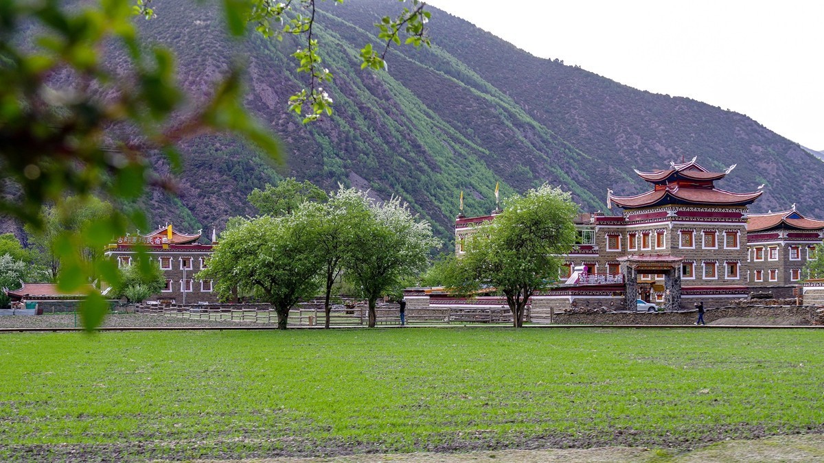 川西新都桥--甲根坝【16】俄色花续完