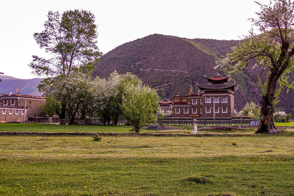 川西新都桥--甲根坝【16】俄色花续完