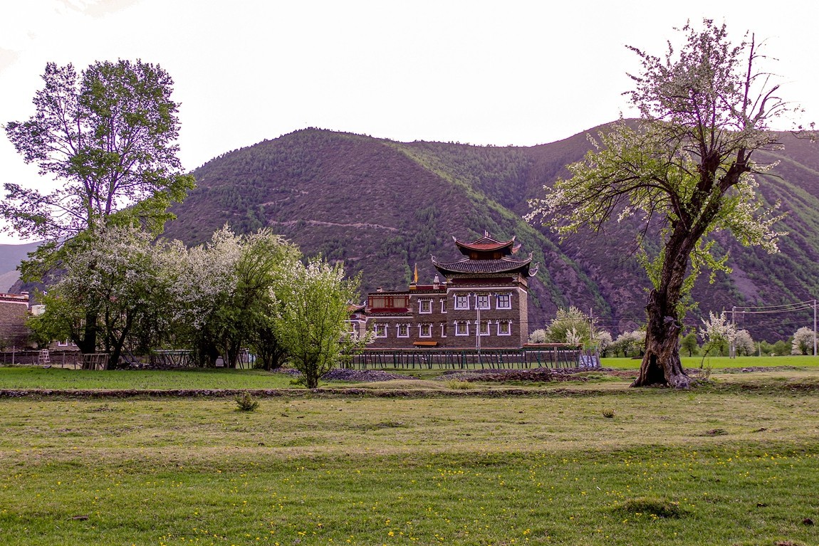 川西新都桥--甲根坝【16】俄色花续完