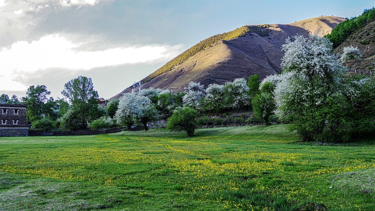川西新都桥--甲根坝【16】俄色花续完
