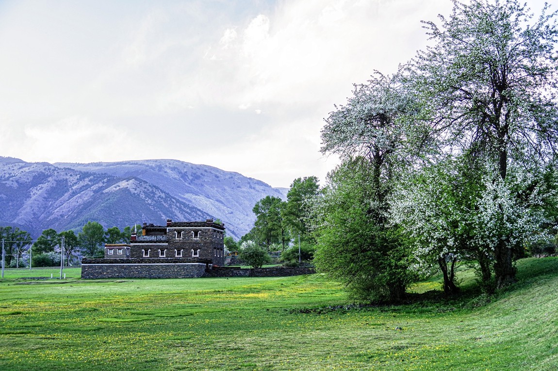 川西新都桥--甲根坝【16】俄色花续完