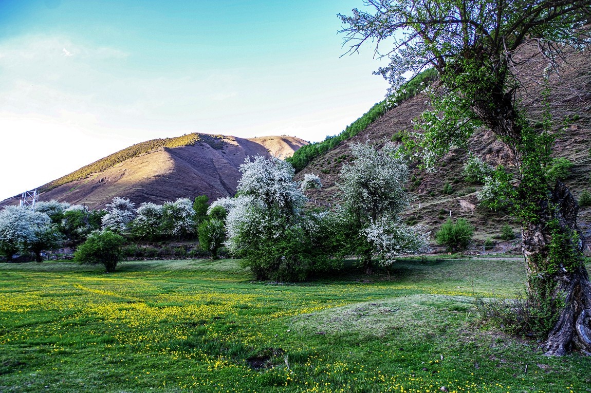 川西新都桥--甲根坝【16】俄色花续完