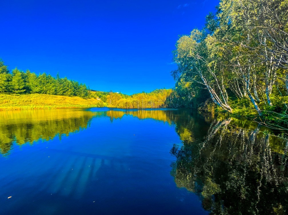 七彩森林景区丨【今日惊蛰】