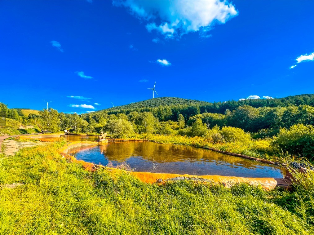 七彩森林景区丨【今日惊蛰】
