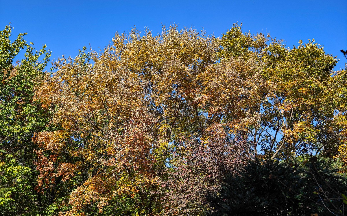 手机随拍20231026《261》