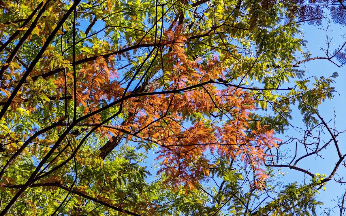 手机随拍20231026《261》