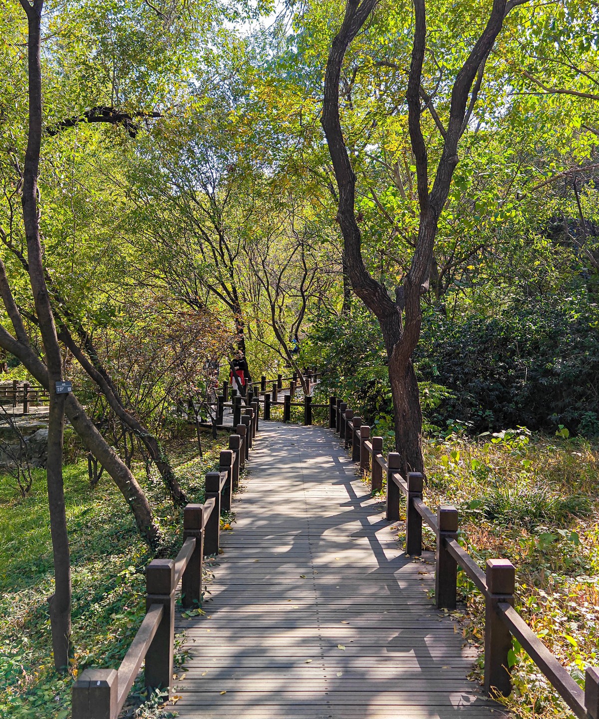 手机随拍20231026《261》