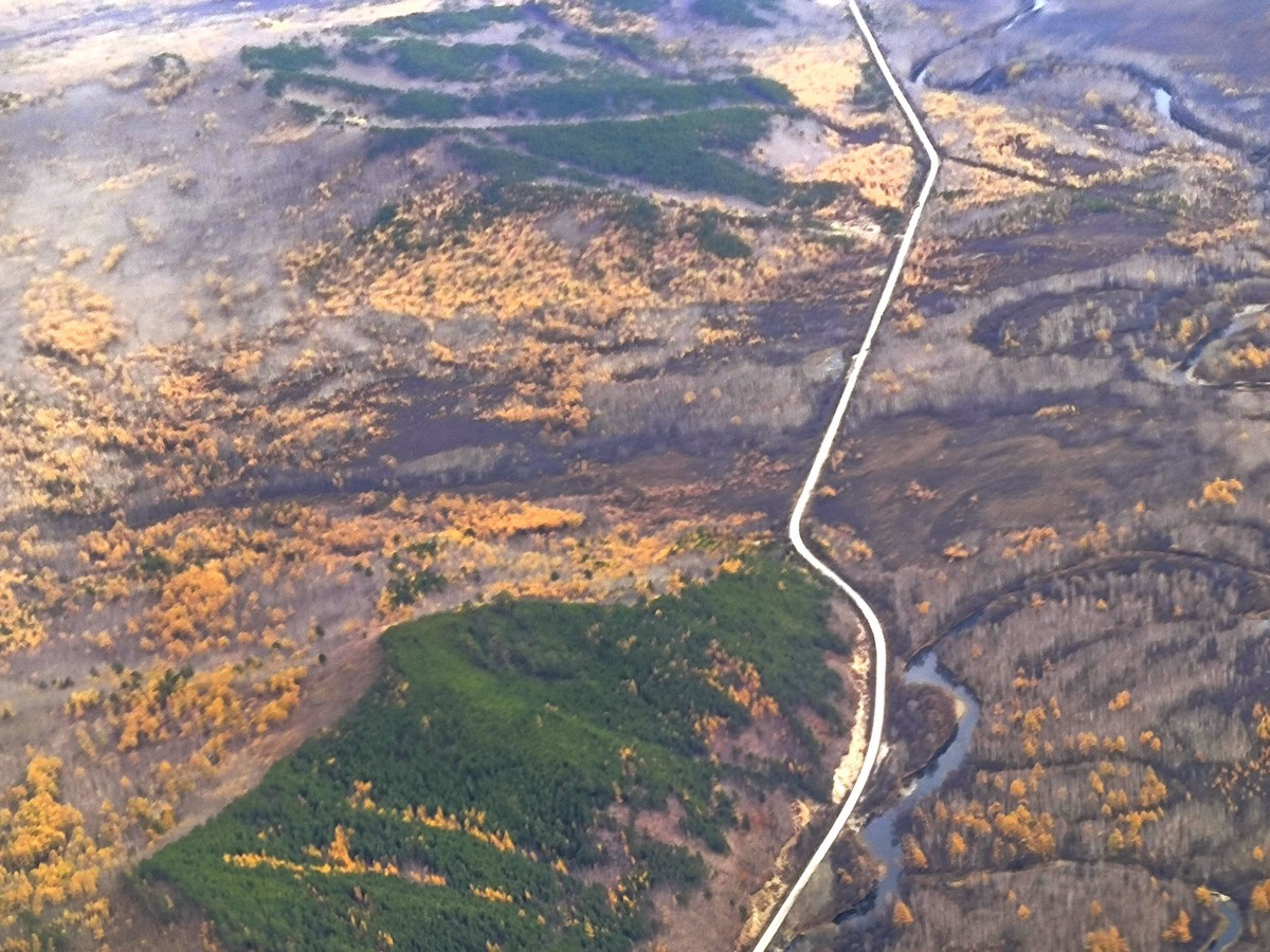 手机随拍调色版