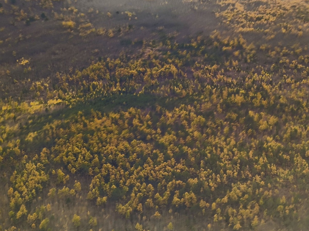 手机随拍调色版（二）