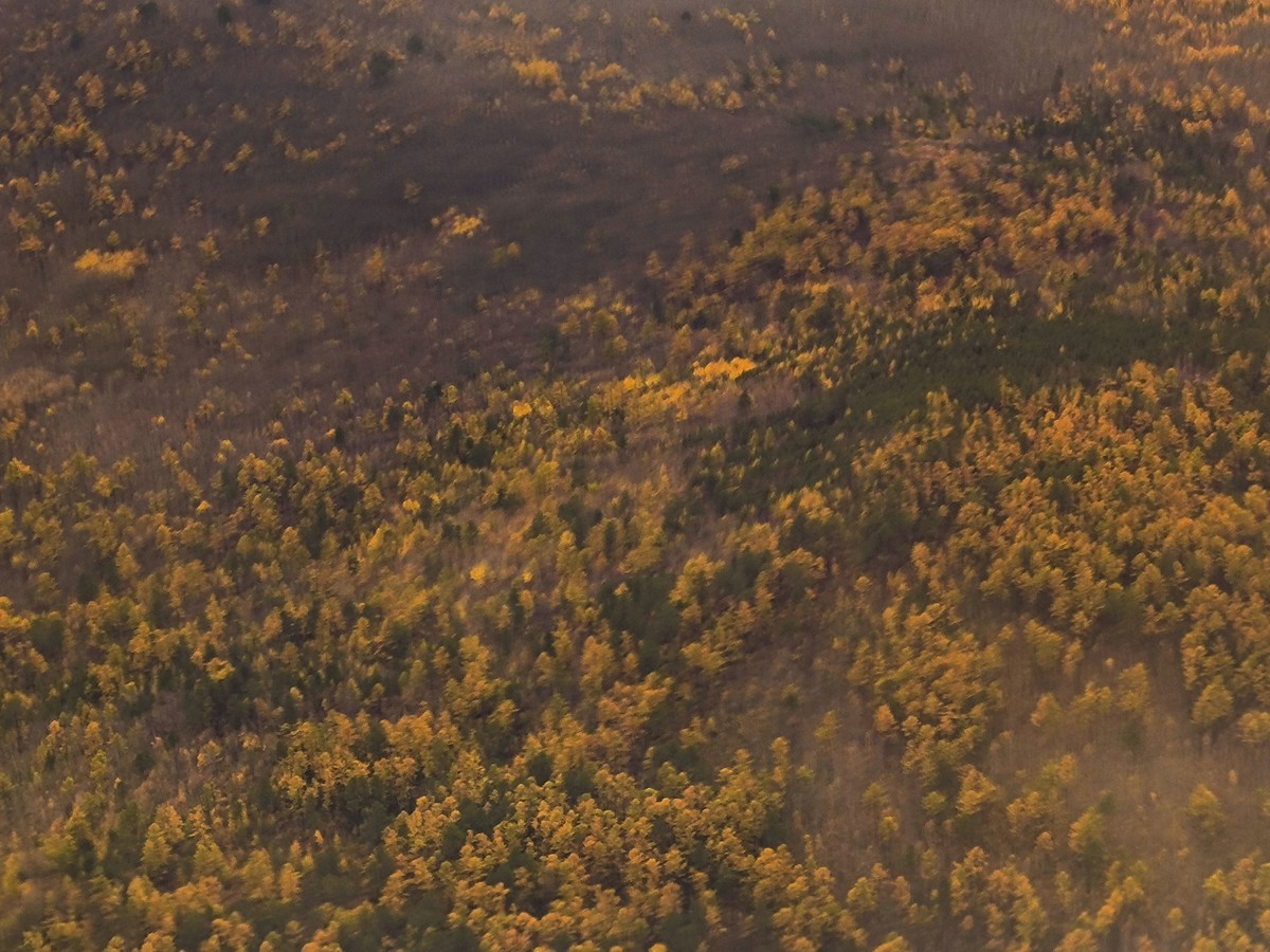 手机随拍调色版（二）