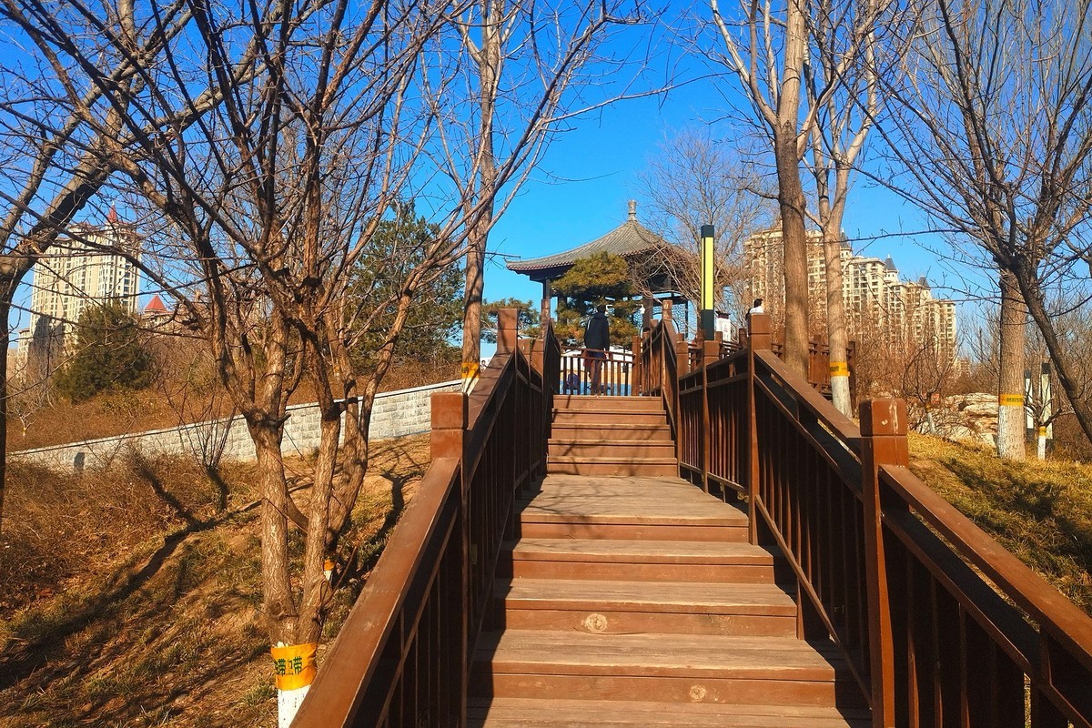 初春·昆仑公园