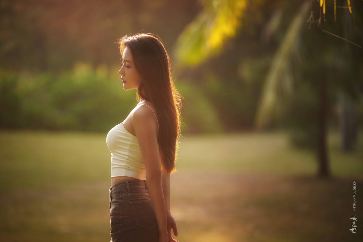 拾一段柔软的时光