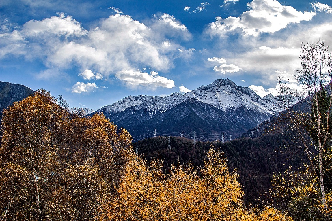 金秋川西行摄【8】