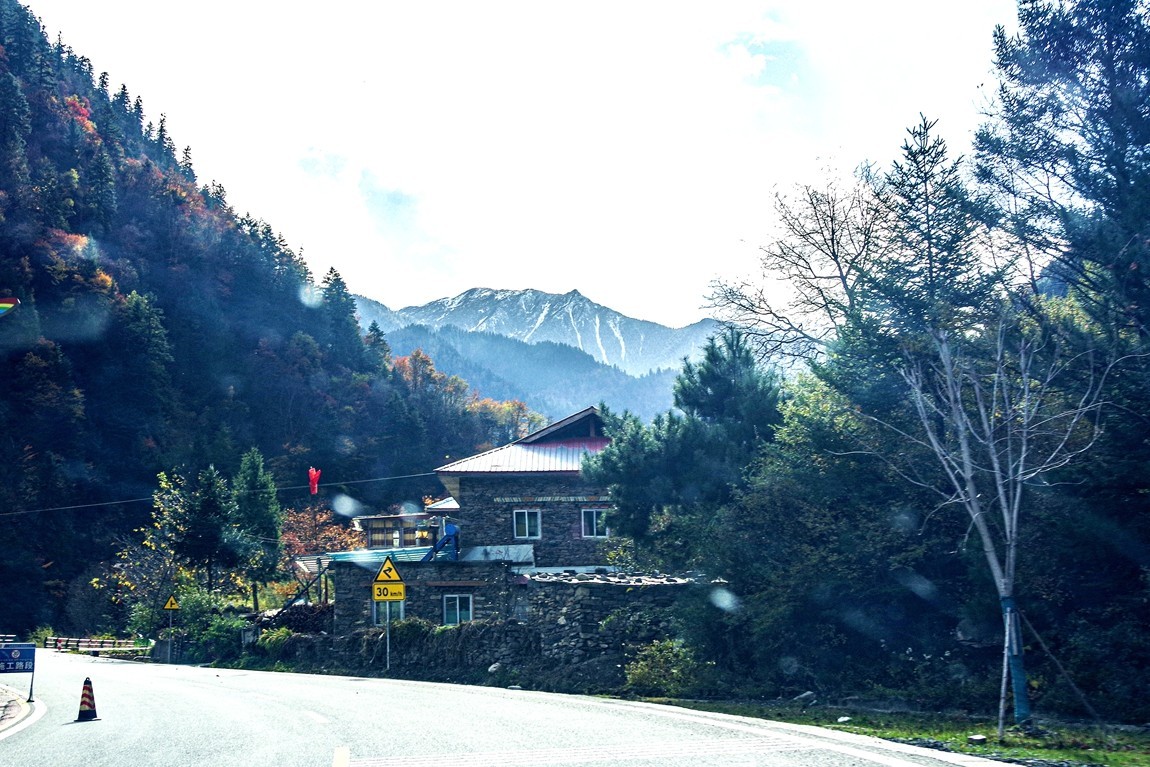 金秋川西行摄【8】