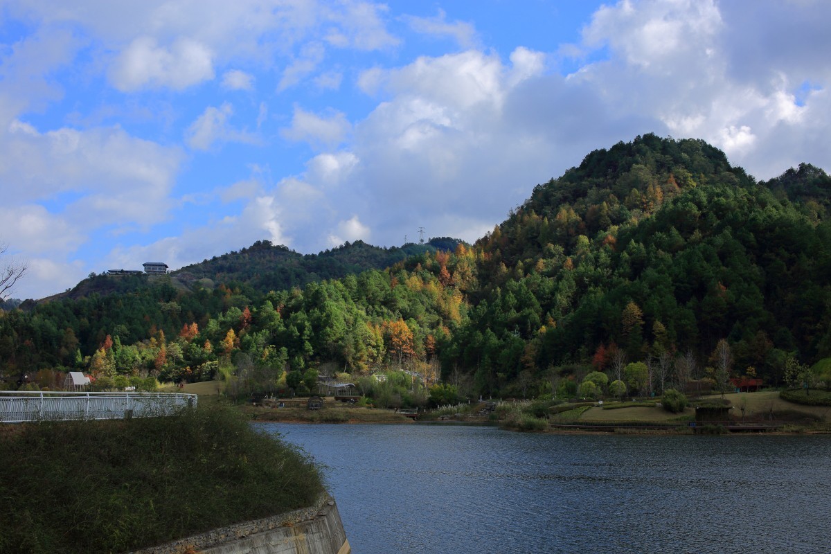 走马观花都匀绿博园（贰）