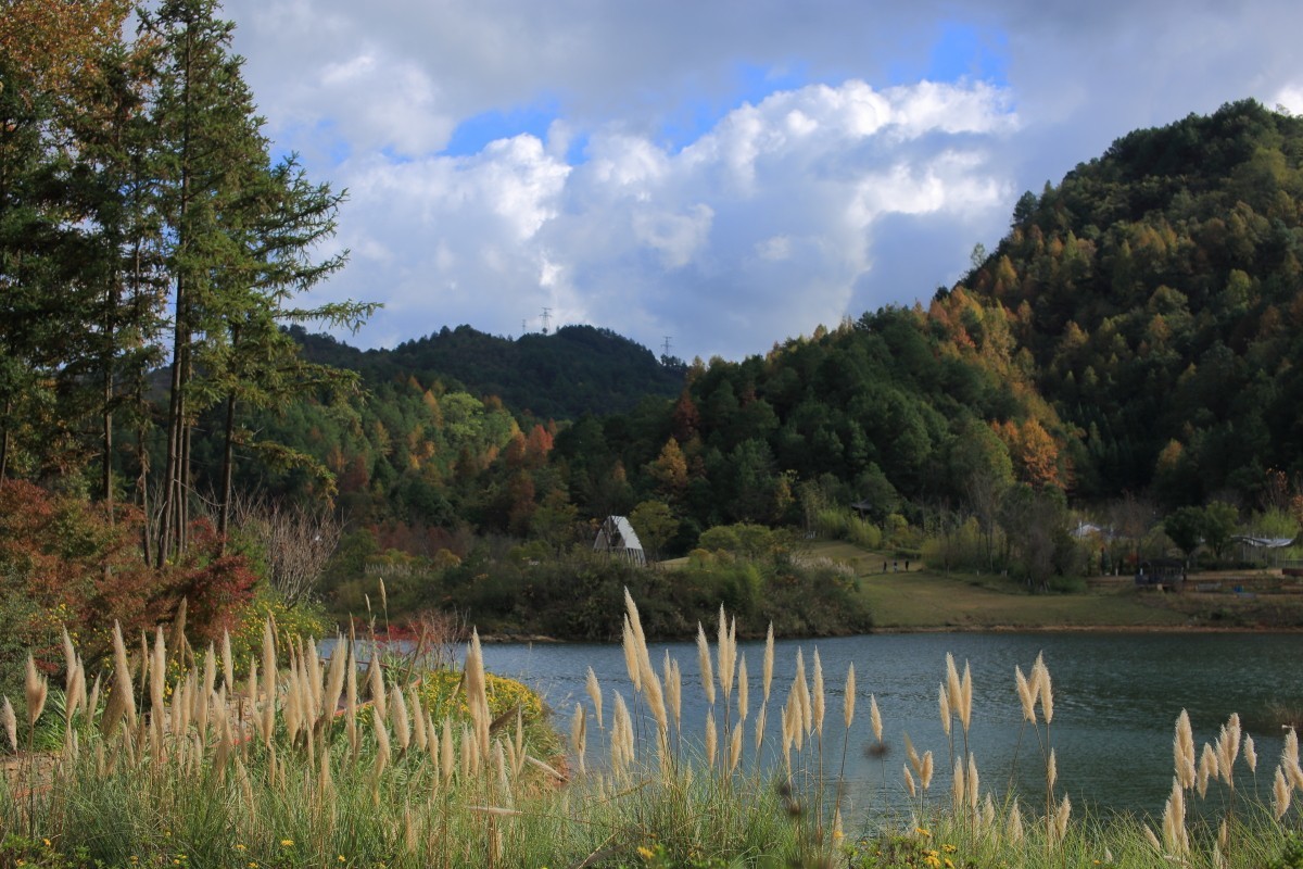 走马观花都匀绿博园（贰）