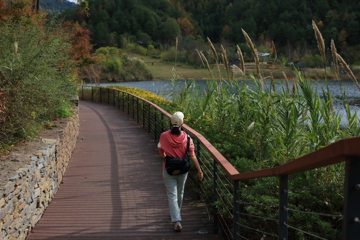 走马观花都匀绿博园（贰）
