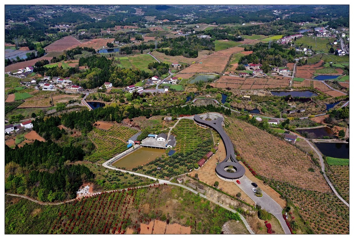 李白故里春色美（二）