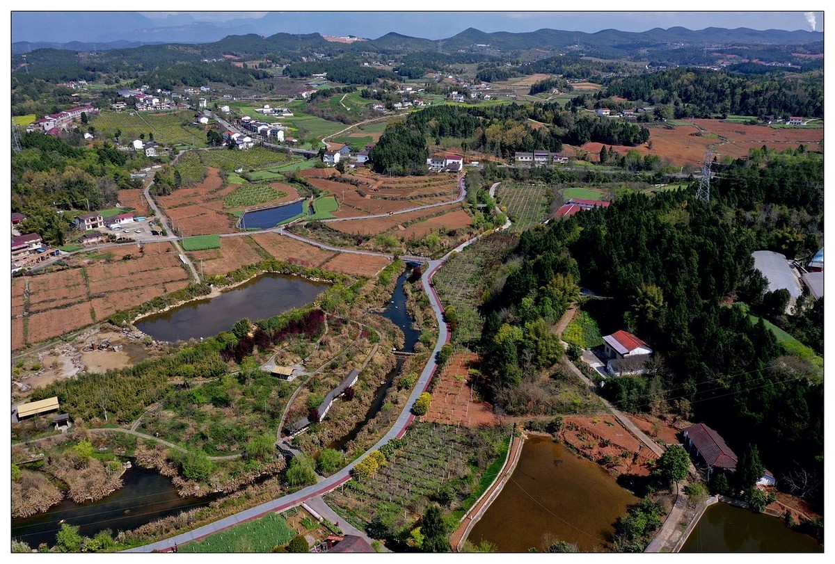 李白故里春色美（二）