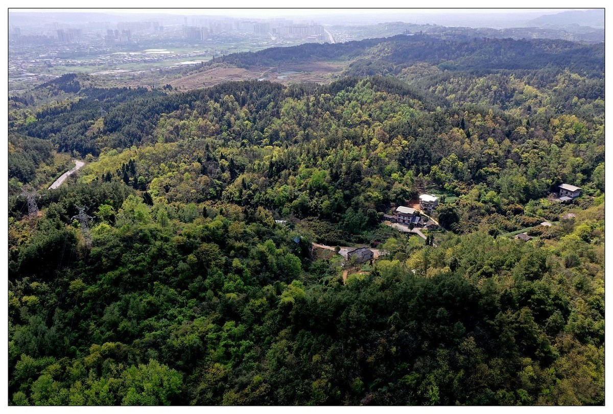 李白故里春色美（二）