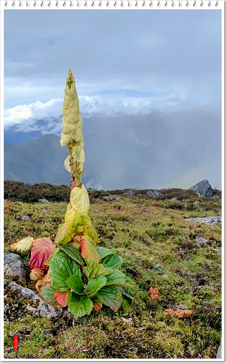 2023年-风光纪实抓拍合集-808