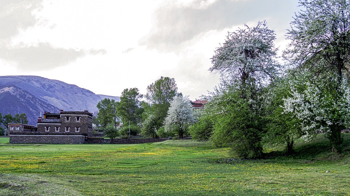 川西新都桥--甲根坝【16】俄色花续完