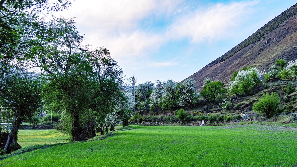 川西新都桥--甲根坝【16】俄色花续完