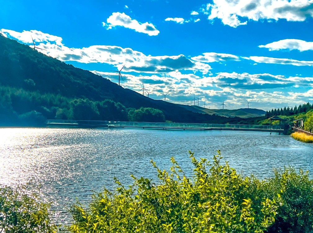 七彩森林景区丨【今日惊蛰】