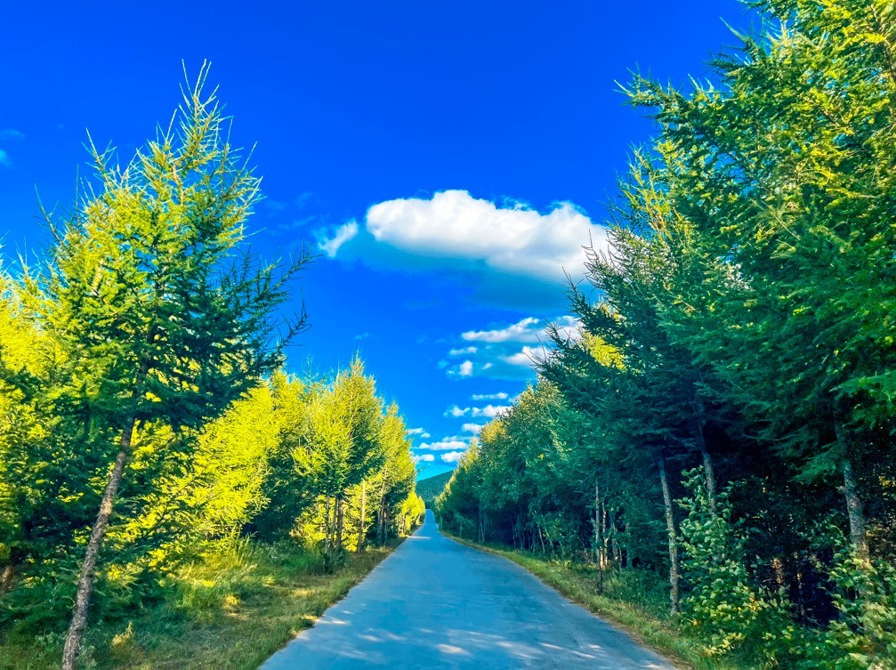 七彩森林景区丨【今日惊蛰】