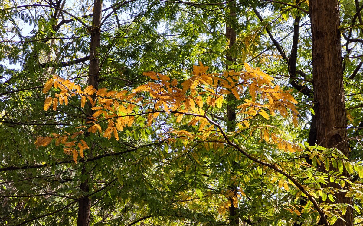 手机随拍20231026《261》