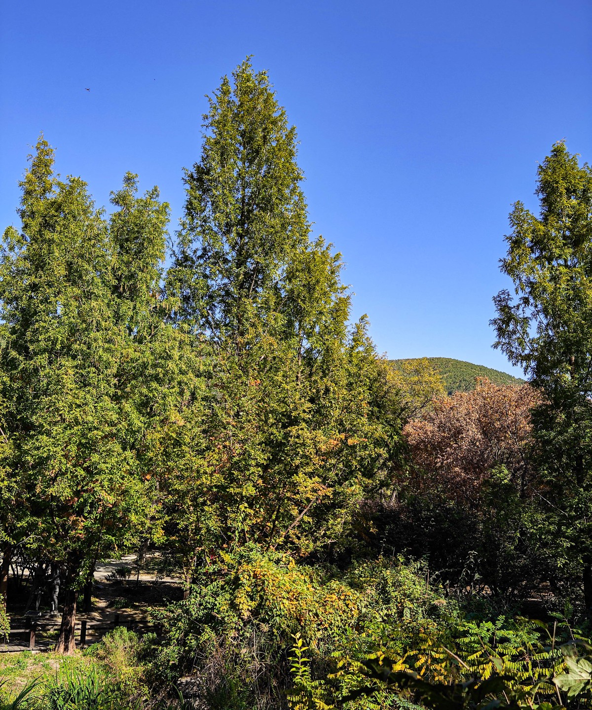 手机随拍20231026《261》