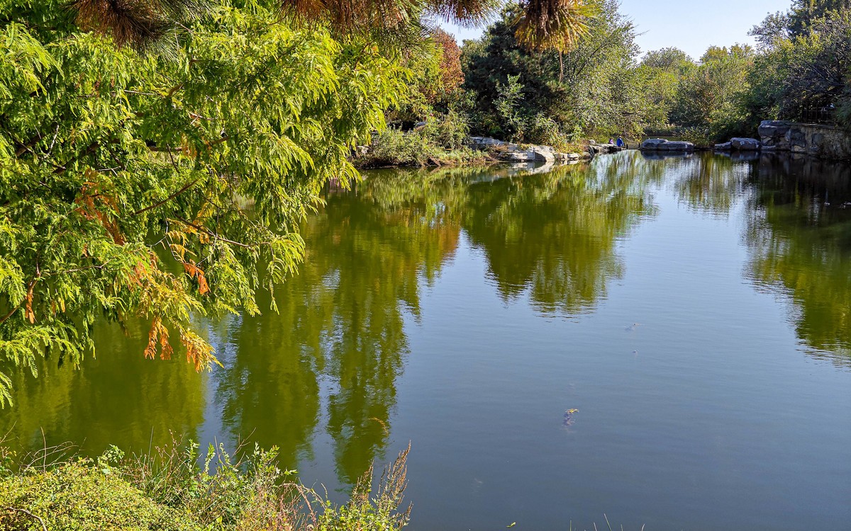 手机随拍20231026《261》