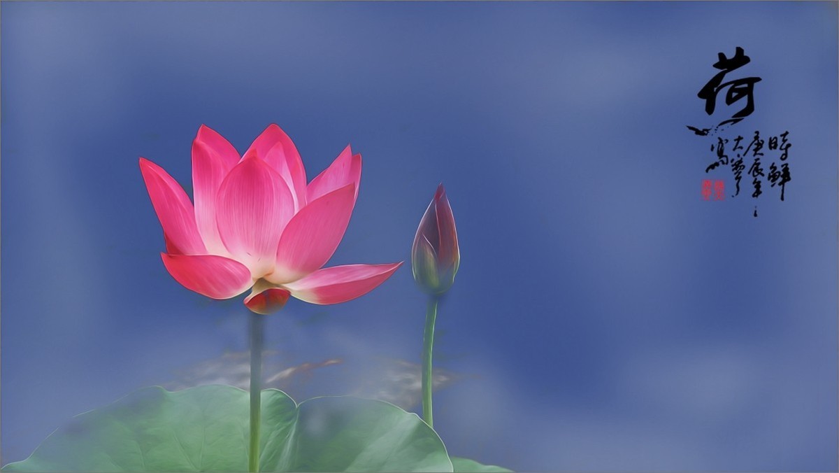 2024《荷塘趣拍》