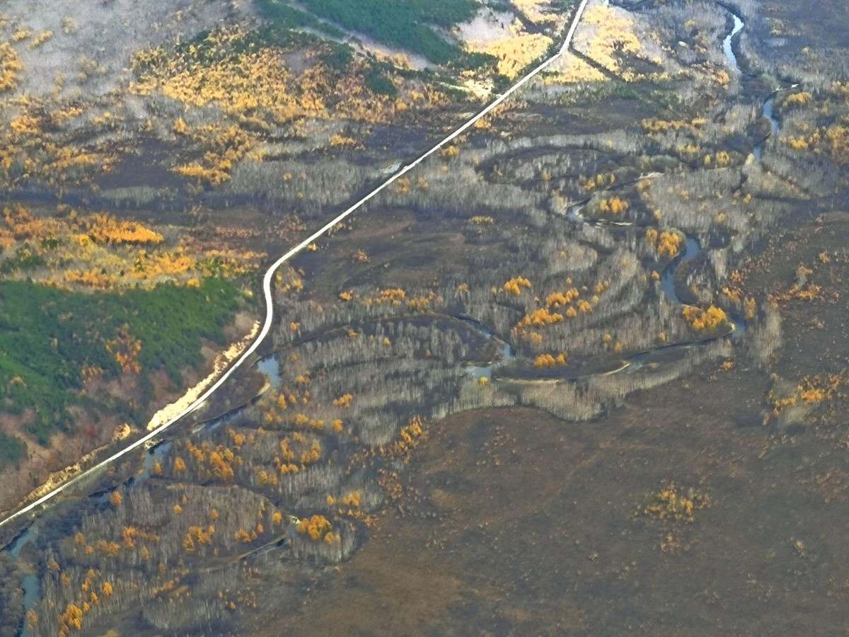 手机随拍调色版