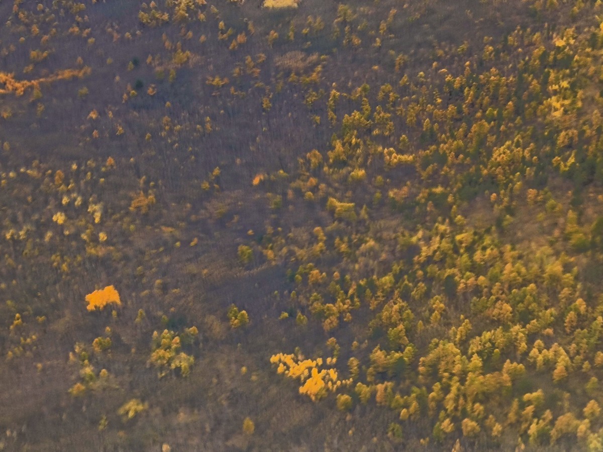 手机随拍调色版（二）