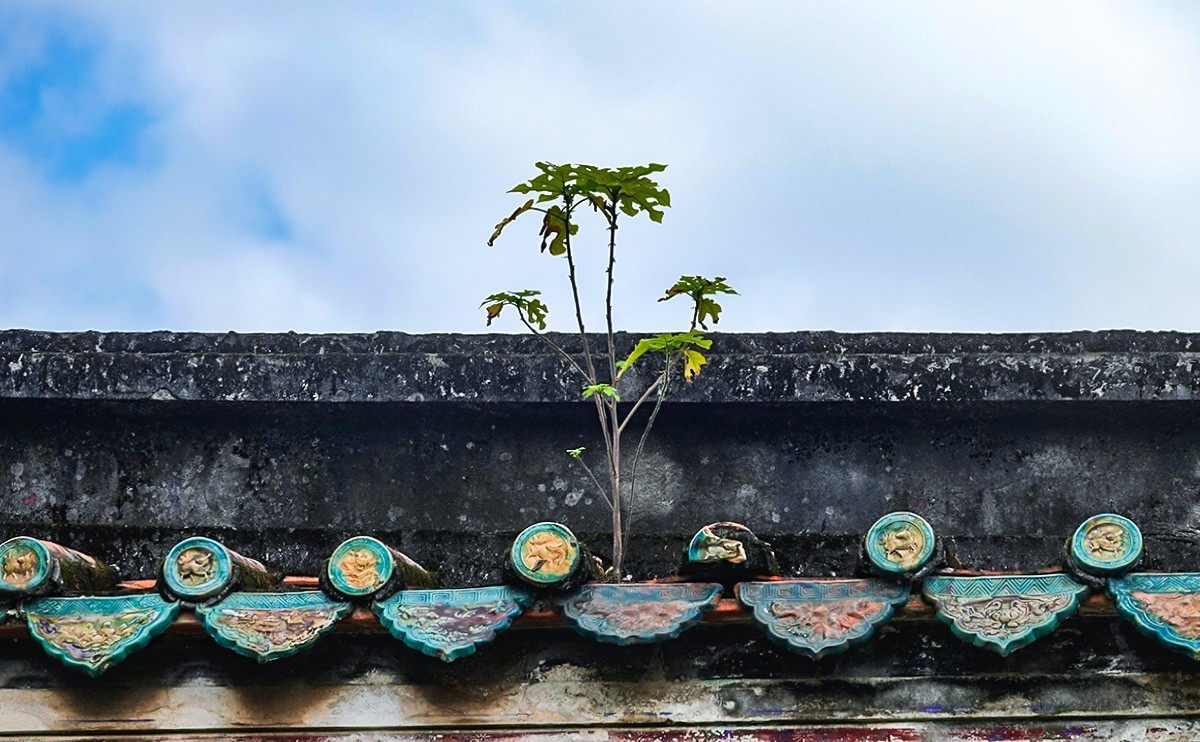 福建泉州#泉州开元寺（续片），祝版主和各位师友新年快乐平安顺遂好运连连！