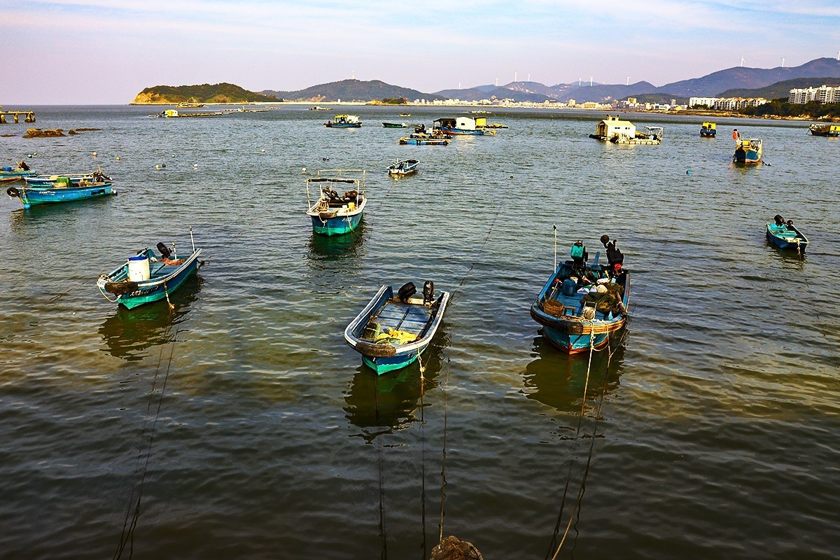 小小鱼村大澳村。祝版主和各位师友新年快乐平安顺遂好运连连！