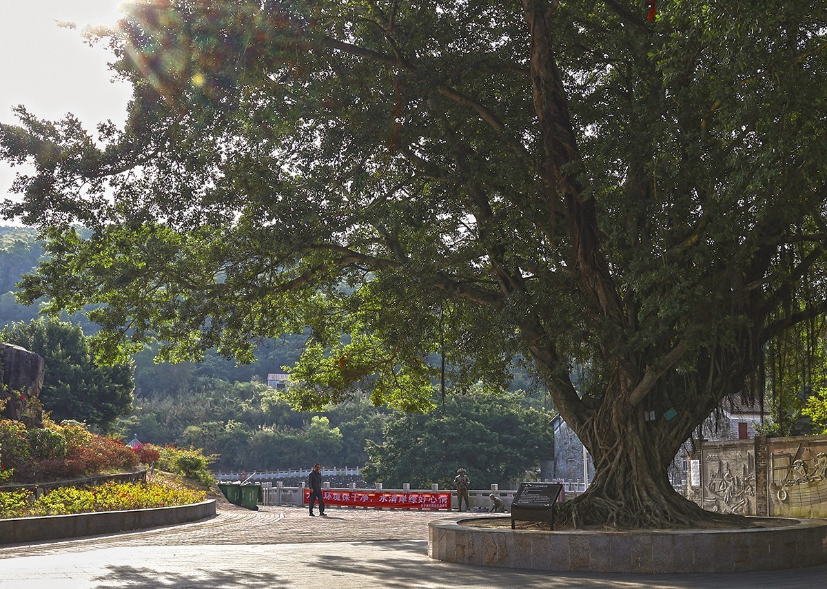 小小鱼村大澳村。祝版主和各位师友新年快乐平安顺遂好运连连！
