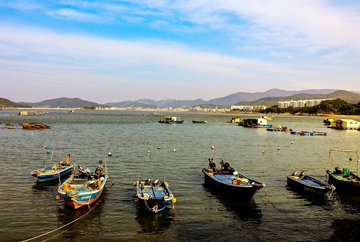 小小鱼村大澳村。祝版主和各位师友新年快乐平安顺遂好运连连！