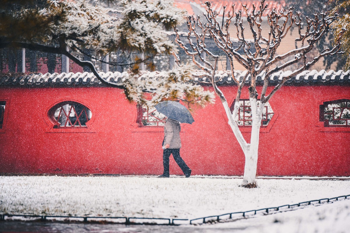岱庙初雪