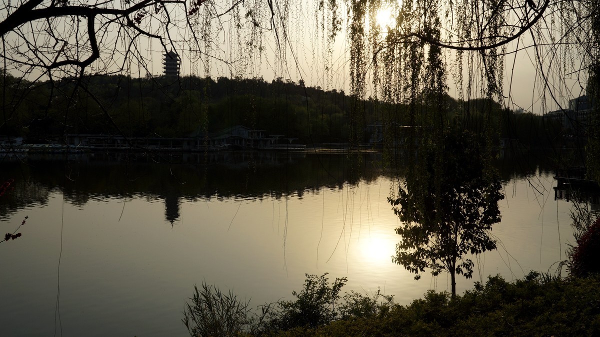 蚌埠张公山公园杂拍