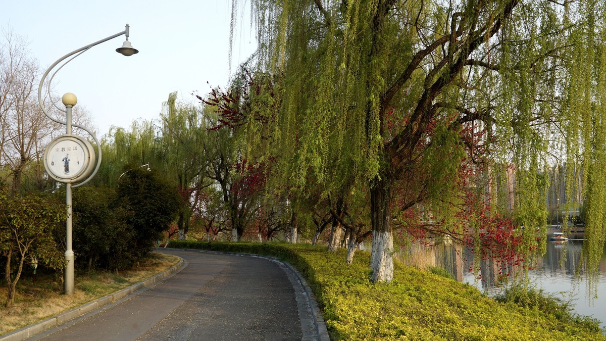 蚌埠张公山公园杂拍