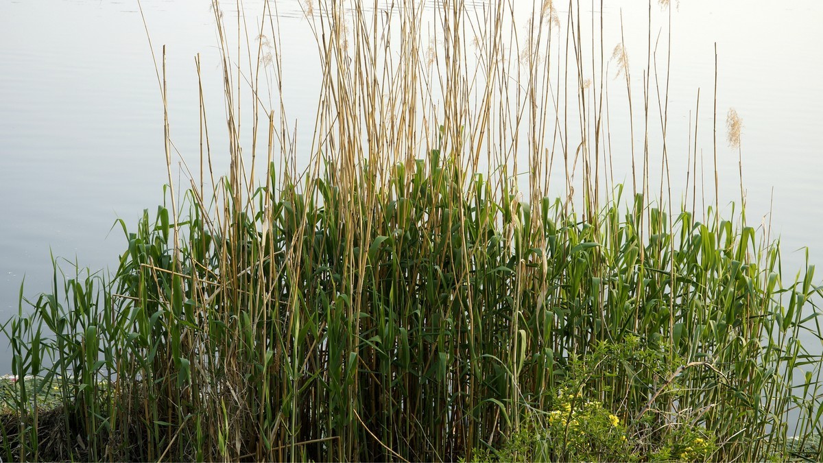 蚌埠张公山公园杂拍