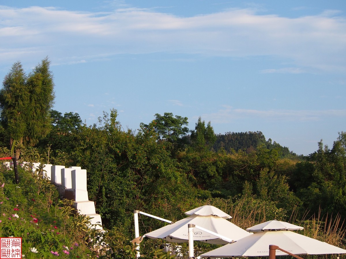 金堂半山归墅(6)