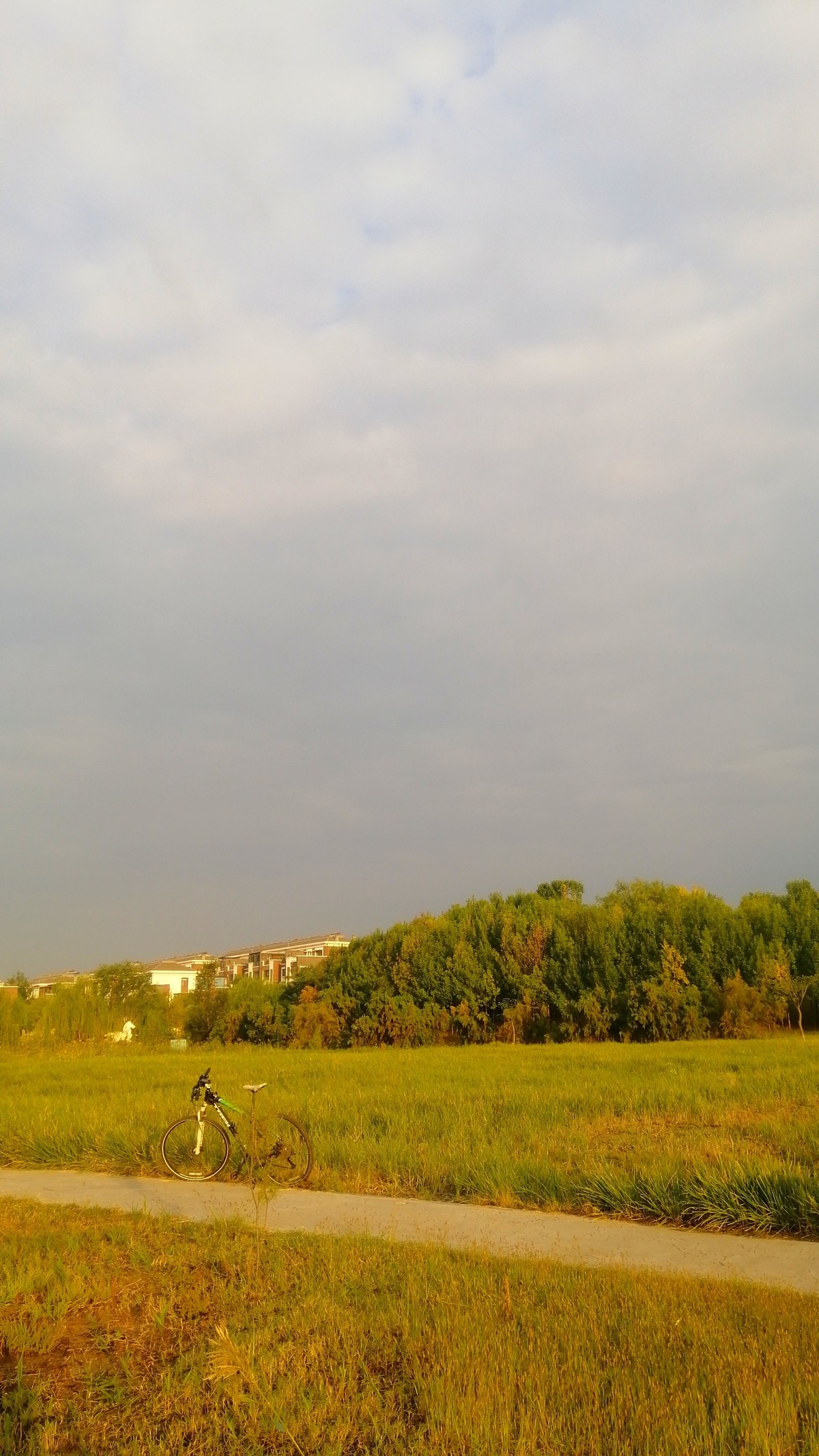 秋韵之图画展览会