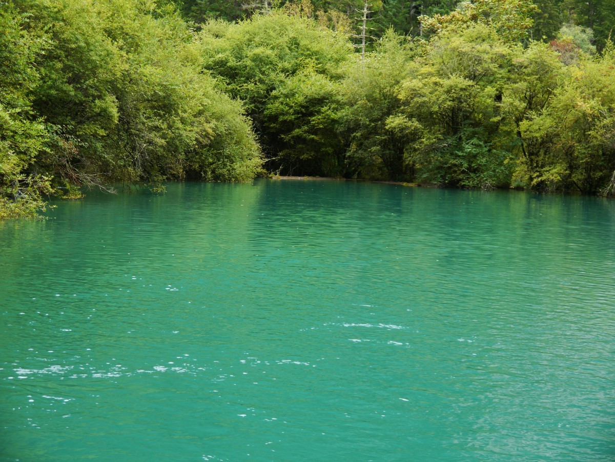 人间仙境 水中贵族---九寨沟（2）