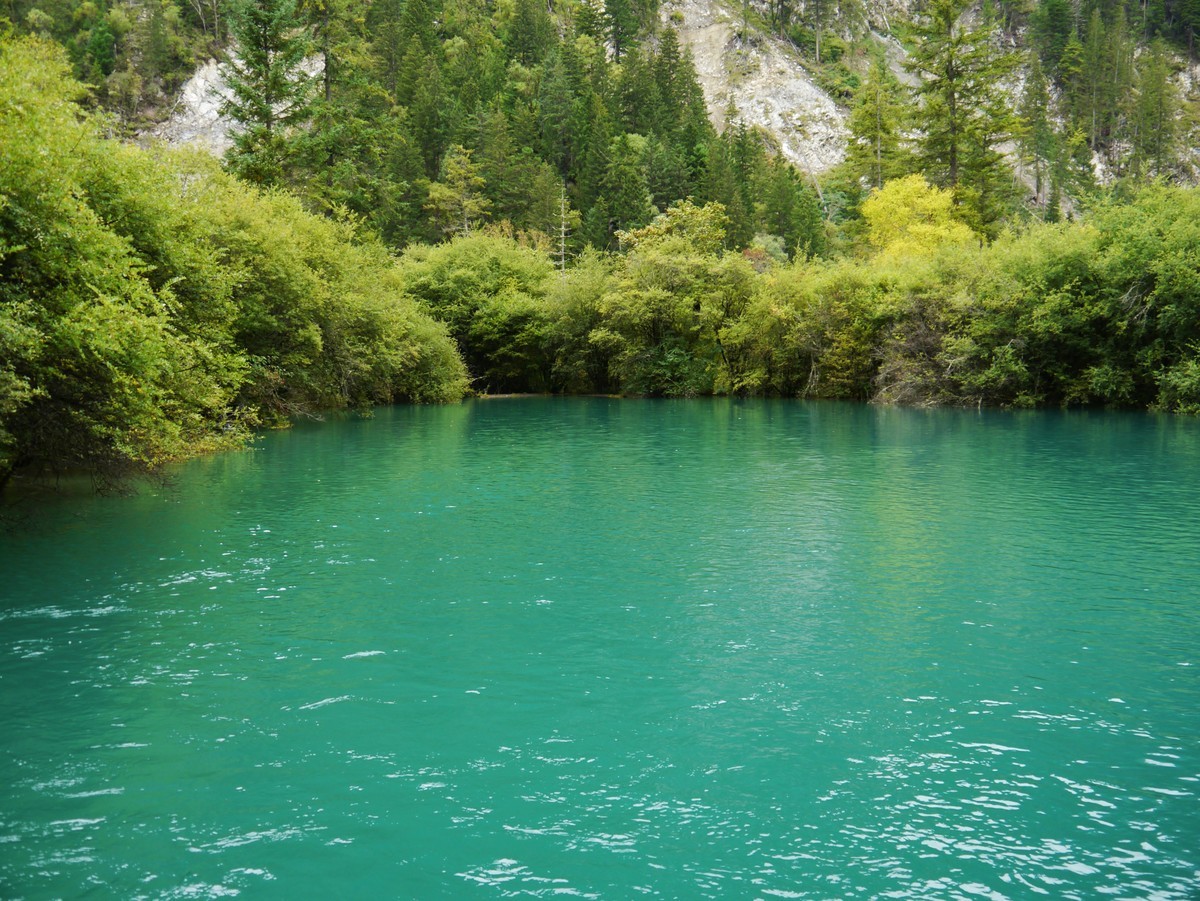 人间仙境 水中贵族---九寨沟（2）