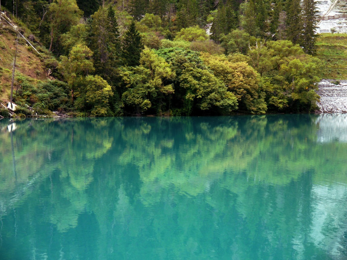 人间仙境 水中贵族---九寨沟（2）